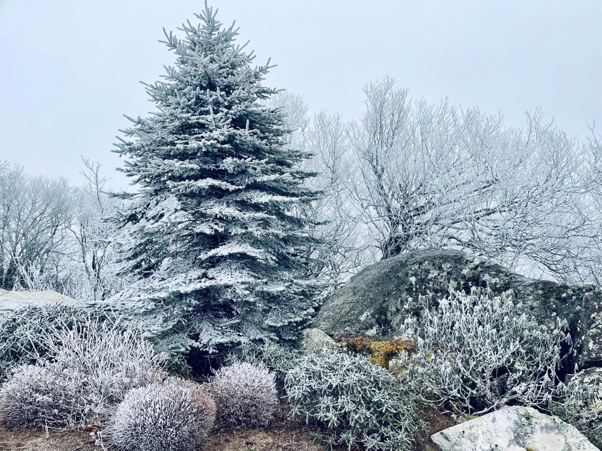 Bucket List Views Sugar Mountain Private Condo - 2Bed, 2Bath, Sleeps 6, Panoramic Views Of Mountains From Large Deck, Short Drive To Shopping, Restaurants, Cafes & Banner Elk Town Εξωτερικό φωτογραφία